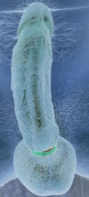 So horny send private for pics