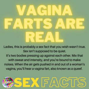 Vagina farts