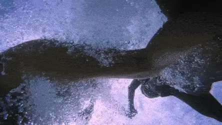 underwater
