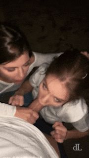 dL — take turns - 238