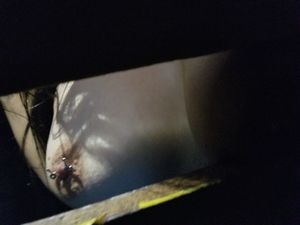 Crossdresser Brooke Skylar