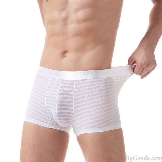 Sexy Streifen Gittergewebe Transparente Boxershorts mit Blumenbund Dessous für Männer Weichling T-Rücken Unterhose Unterwäsche