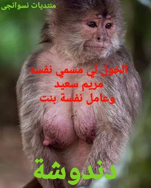 منتديات نسوانجي دندوشة سكس عربي خولات خول سالب