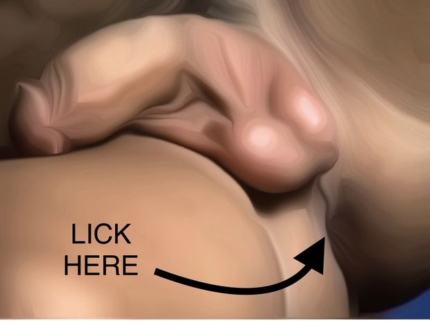 Where to lick