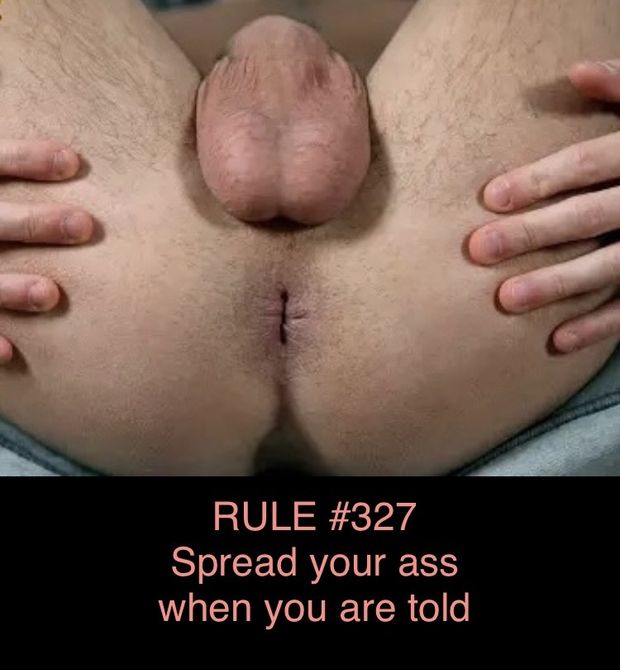 Spread your ass