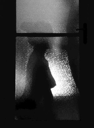 What you saw through the window.