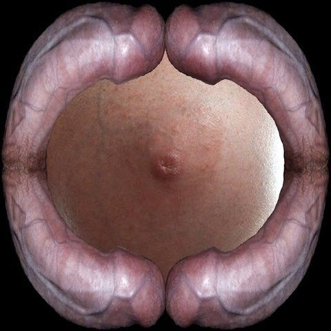 Weird dick and tit art