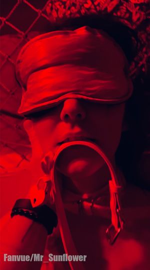 There are many pics and vids from this night if you follow the Sunflower. She just started her training ;)