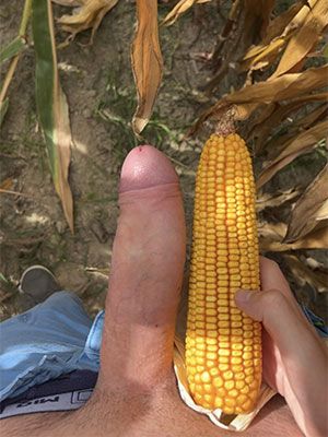 Closeted guy in Mitchell, South Dakota with a dick as big as a corn on the cob size