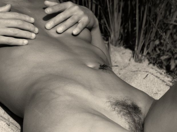 dragonfly on naked body