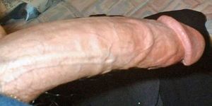 Ymm Ymm, want it all in ... 1468