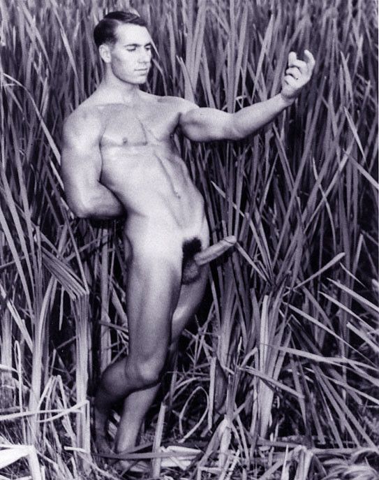 Reed Phippen