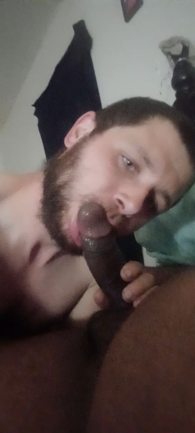 I love sucking cock