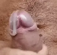 cumshot