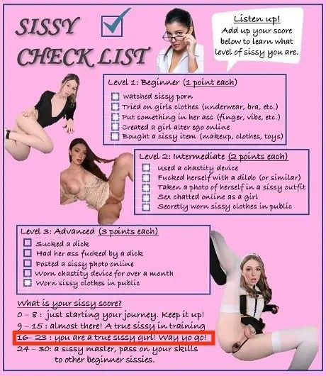 Sissy check list