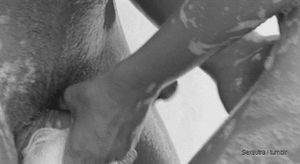 She gives his cock a gentle, soapy rub in the shower