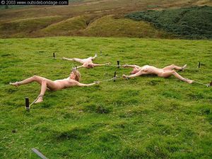 3 stakedout naked outside