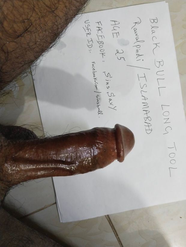 Straight Bull available