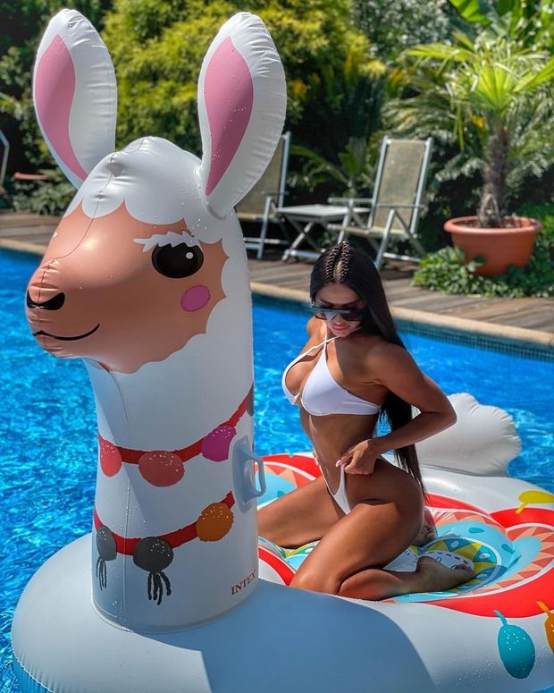 llama