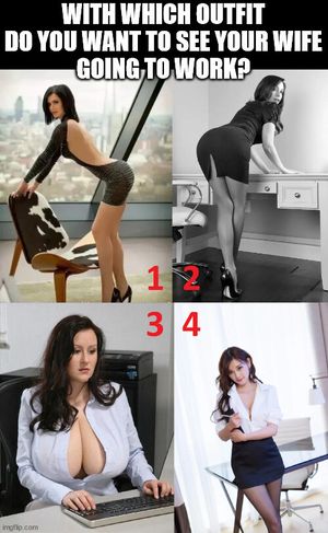 pick one outfit you would like to see your wife using for her alpha boss today