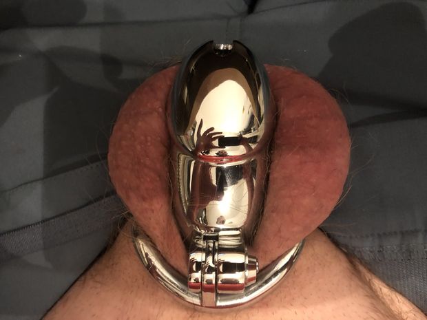 chastity cage lock locked