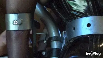 They're gonna love you!