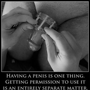 getting a permission to use your penis is an entirely separate matter