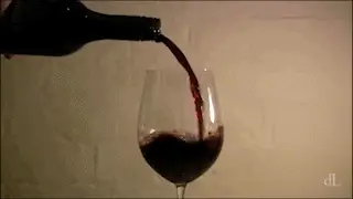 dL — sex ⊙ wine ⊙ lingerie — dL#171