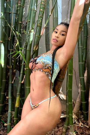 Apit Stop with Bamboo