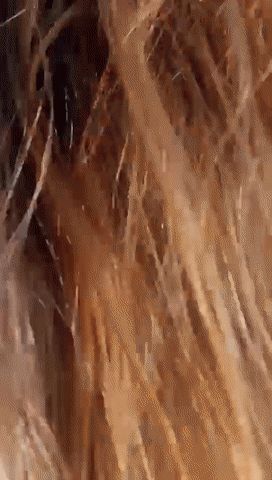 amazing blonde on the beach