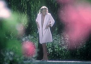 Spying On The Neighbor