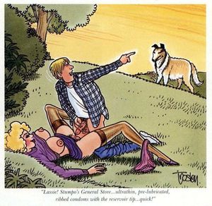 Lassie to the rescue