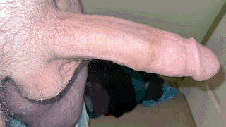 Think you could handle it?