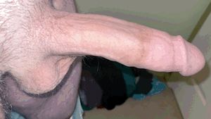 Think you could handle it?