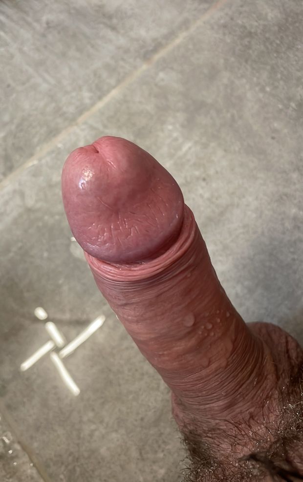 Penis
