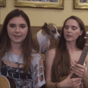 Sempre será o melhor amigo do homem