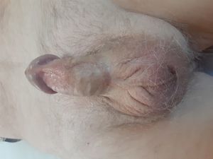 Just Sucked This Small Cock