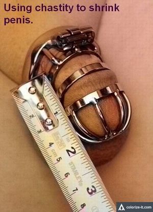 using chastity to shrink penis