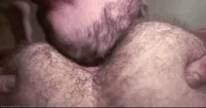 Every homo-fag luvs eating hairy assholes.