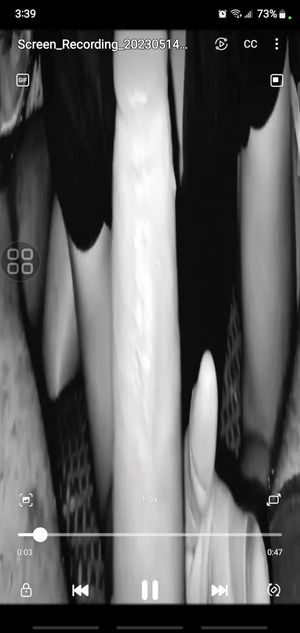 The Queen slobs on my nob