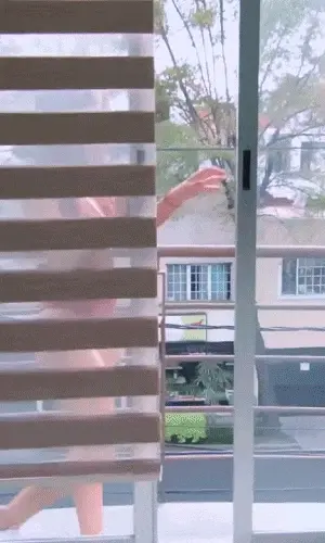 Ari Door