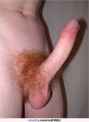 GingerCock