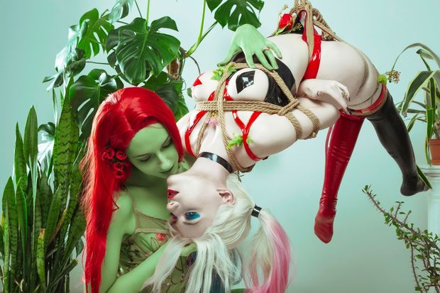 Harley suspended with ivy