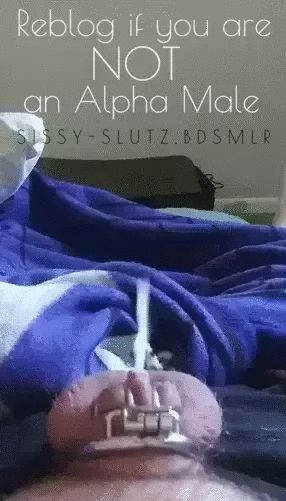 Repin if you are NOT an Alpha Male