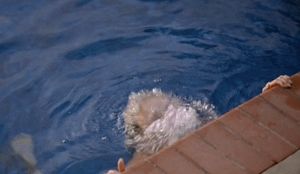 water drips from naked body