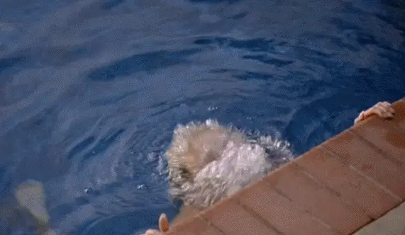 water drips from naked body