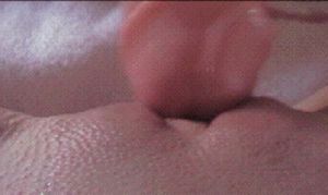 glans rubs pussy, both get moist.