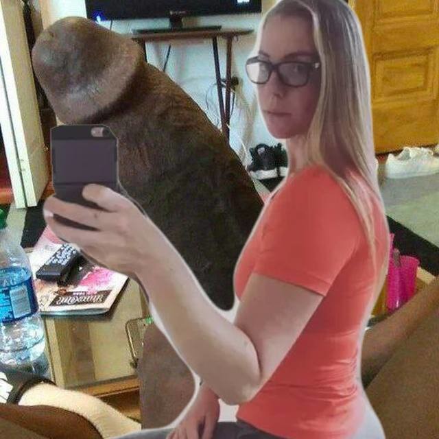 Finally found one big enough