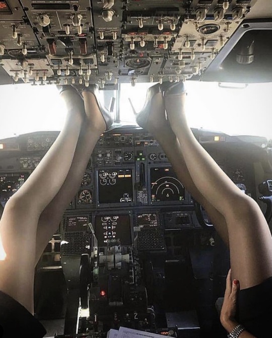 flight attendants