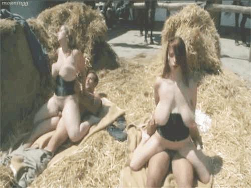 Roll in the hay